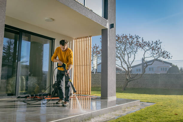 Best Dumpster Area Cleaning  in North New Hyde Park, NY